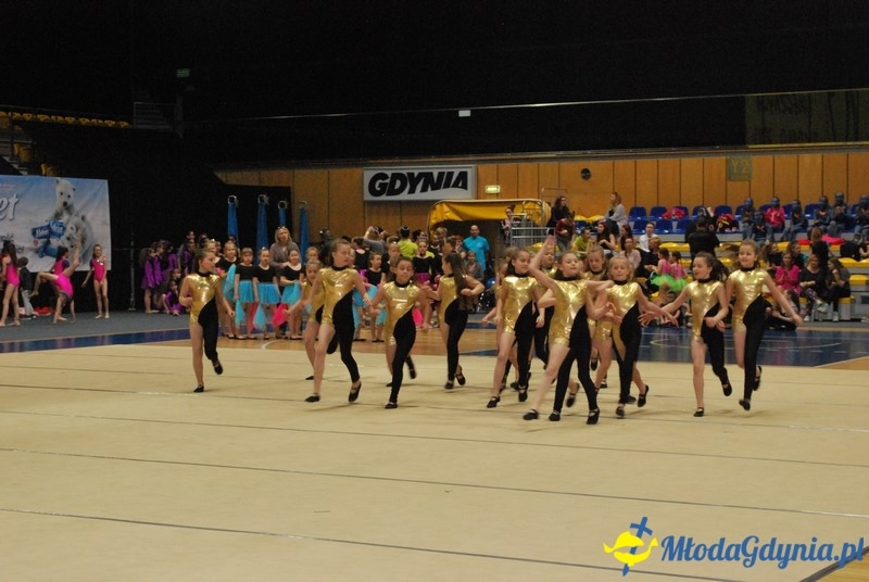 Gim Show 2017 (I)