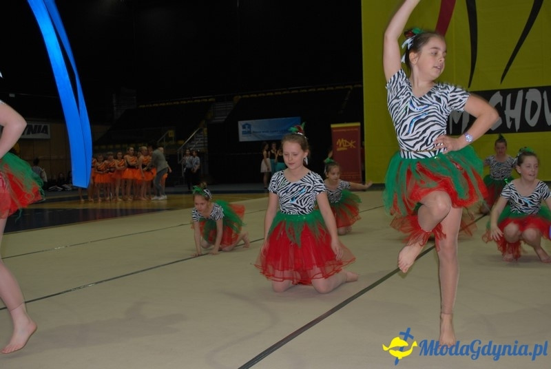 Gim Show 2017 (I)