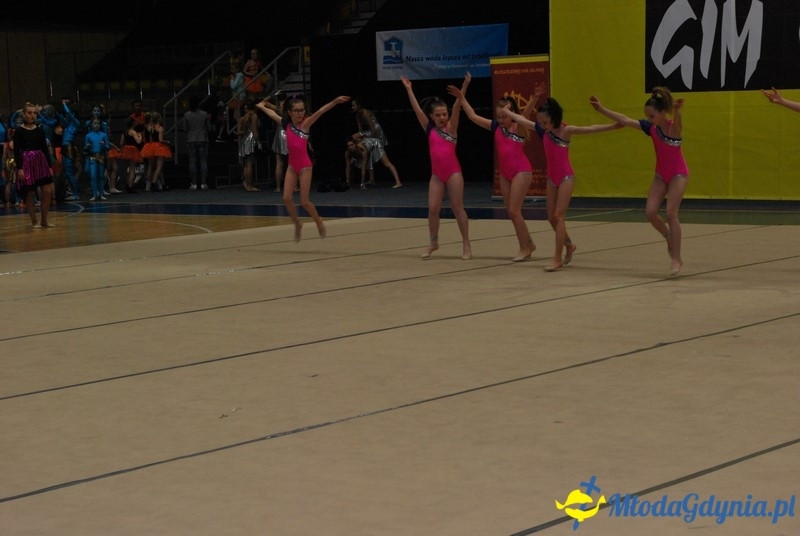 Gim Show 2017 (I)