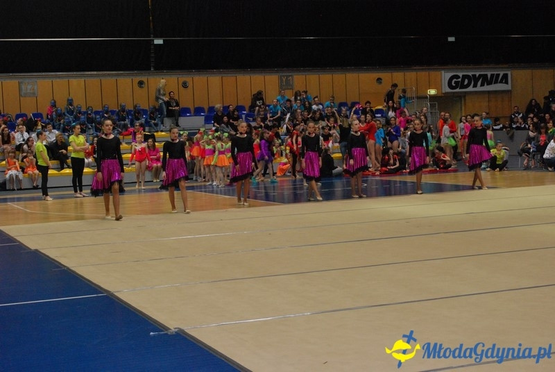 Gim Show 2017 (I)