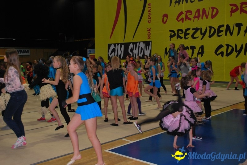 Gim Show 2017 (II)