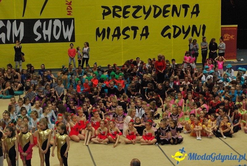 Gim Show 2017 (II)