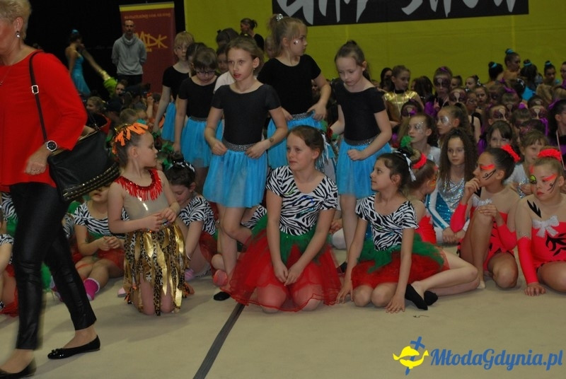 Gim Show 2017 (II)