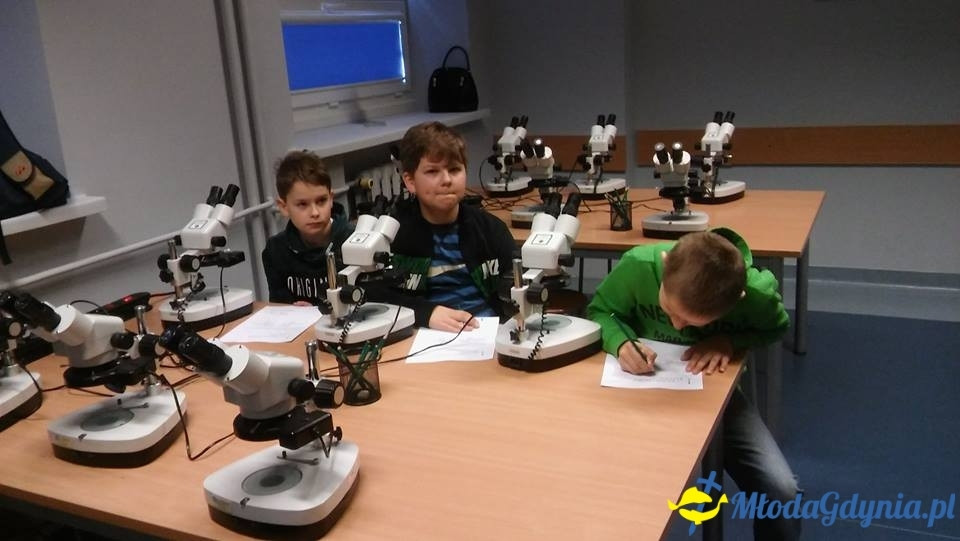 ZS 12 - kwiecień 2017