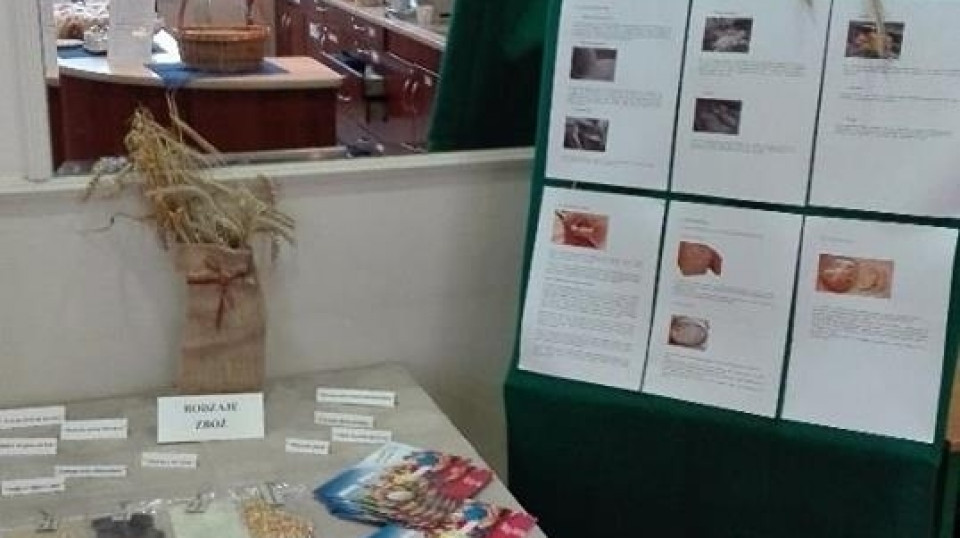 ZSHG - Sala konsumpcyjna pachnąca świeżym chlebem