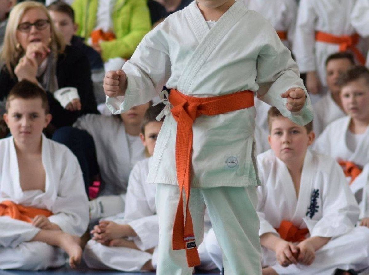 II Puchar Pomorza Kyokushin-kan Karate-do 22.04.2017r. w Rumi