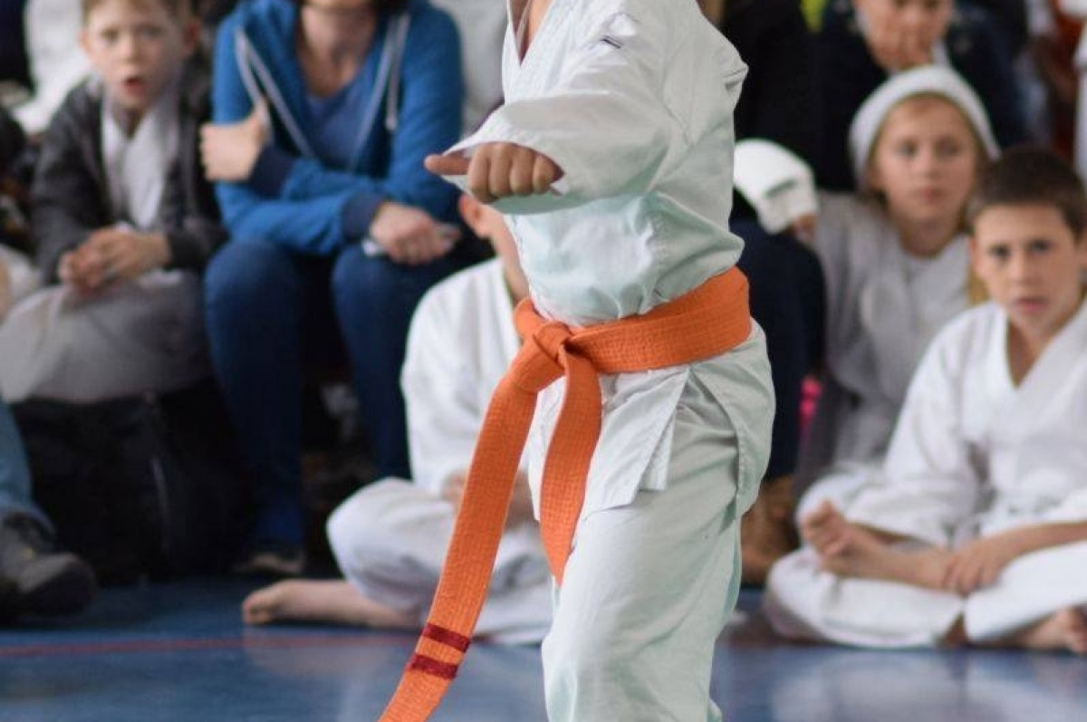 II Puchar Pomorza Kyokushin-kan Karate-do 22.04.2017r. w Rumi