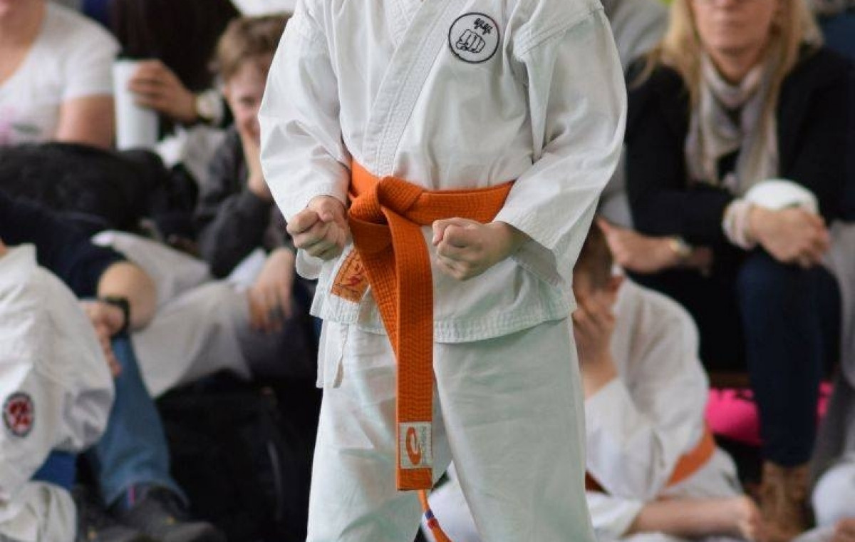 II Puchar Pomorza Kyokushin-kan Karate-do 22.04.2017r. w Rumi