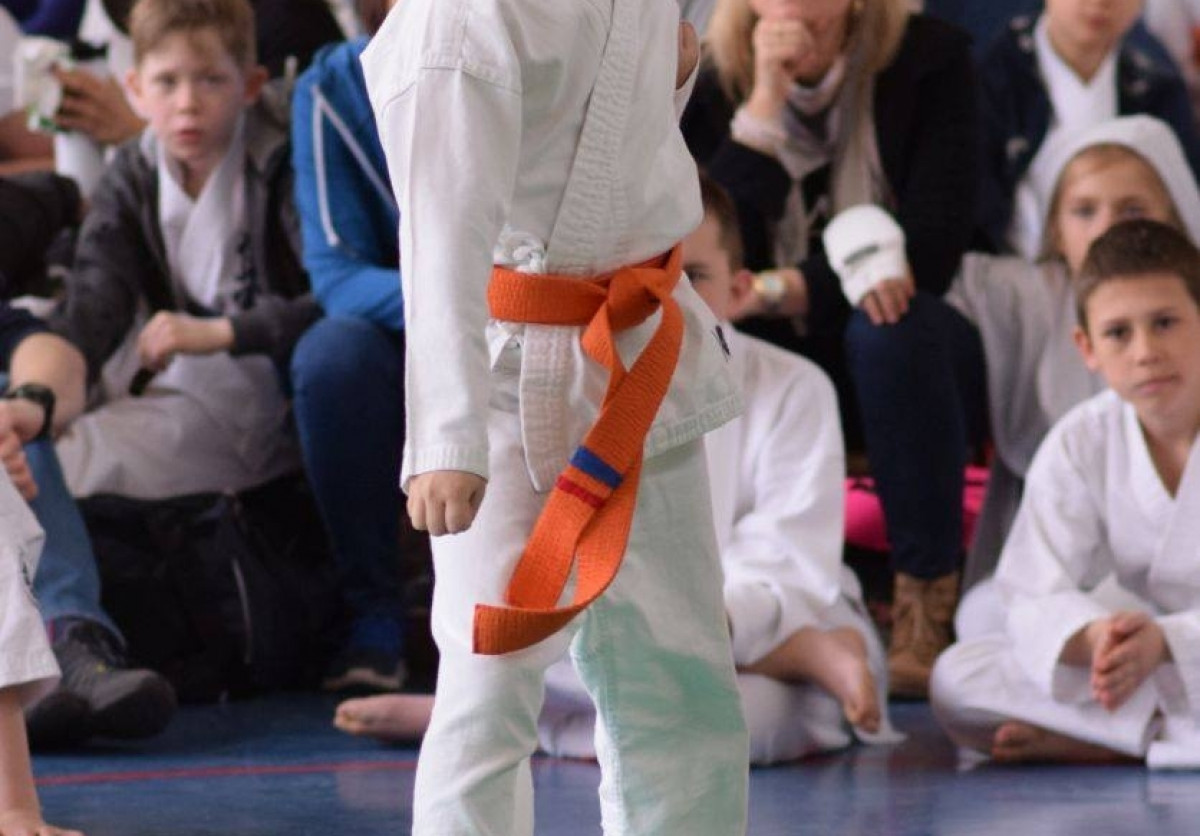 II Puchar Pomorza Kyokushin-kan Karate-do 22.04.2017r. w Rumi