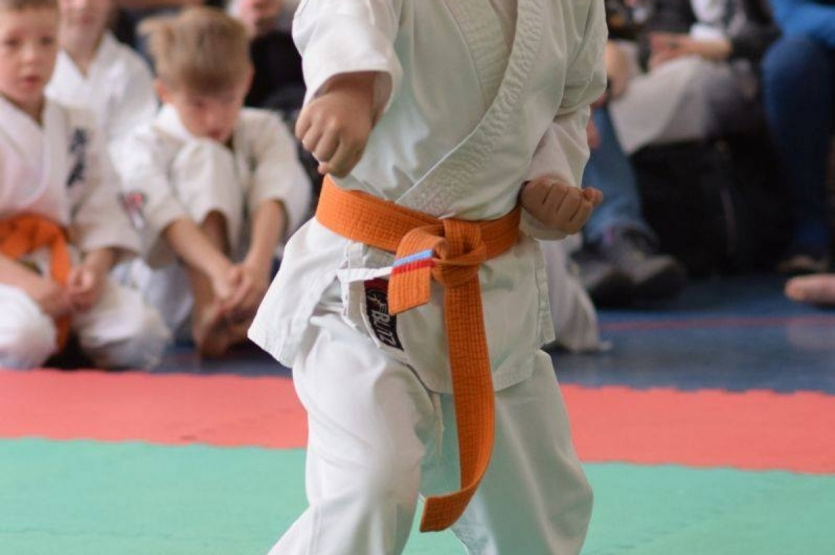 II Puchar Pomorza Kyokushin-kan Karate-do 22.04.2017r. w Rumi