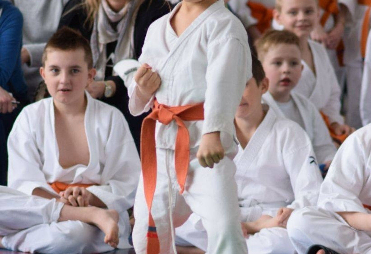 II Puchar Pomorza Kyokushin-kan Karate-do 22.04.2017r. w Rumi