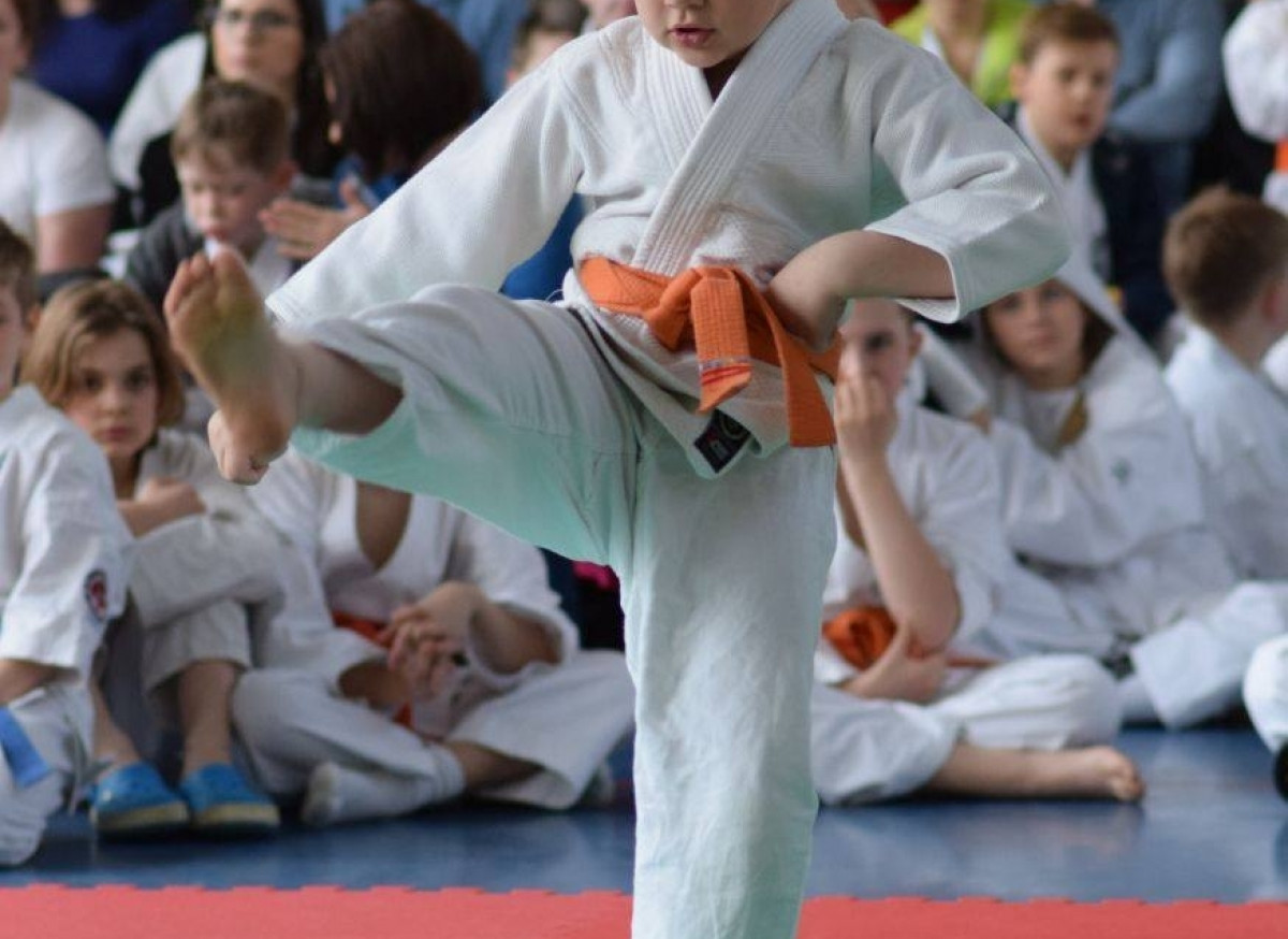 II Puchar Pomorza Kyokushin-kan Karate-do 22.04.2017r. w Rumi