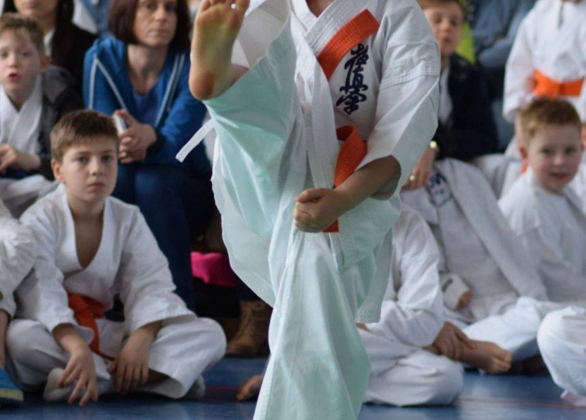 II Puchar Pomorza Kyokushin-kan Karate-do 22.04.2017r. w Rumi