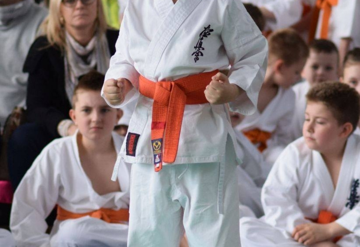 II Puchar Pomorza Kyokushin-kan Karate-do 22.04.2017r. w Rumi