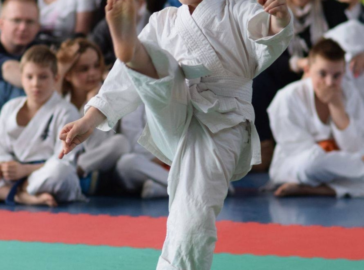 II Puchar Pomorza Kyokushin-kan Karate-do 22.04.2017r. w Rumi