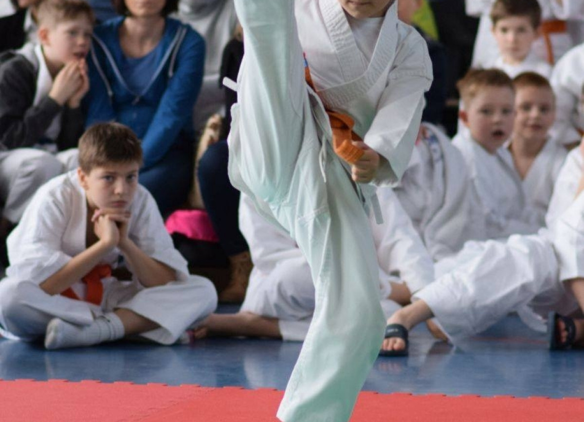 II Puchar Pomorza Kyokushin-kan Karate-do 22.04.2017r. w Rumi