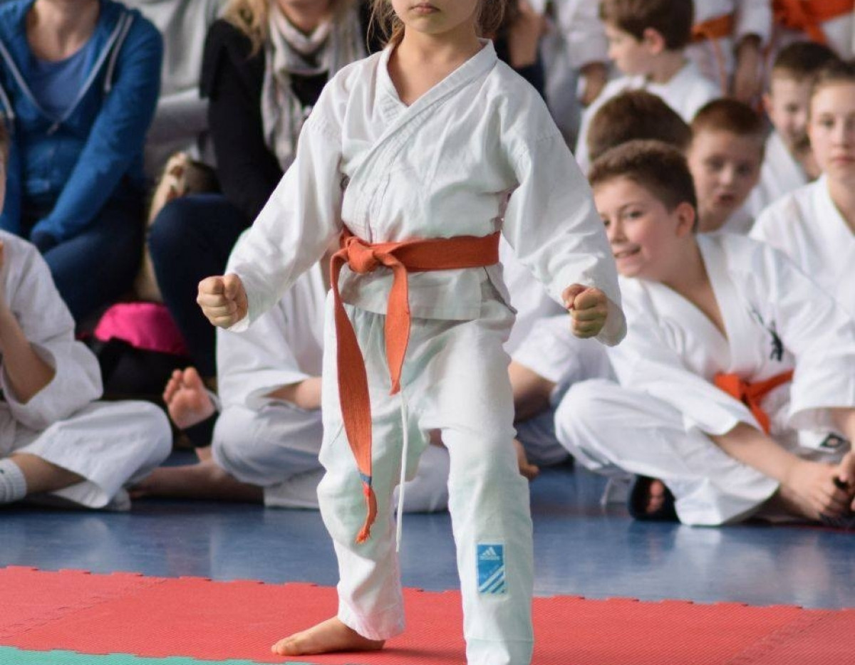 II Puchar Pomorza Kyokushin-kan Karate-do 22.04.2017r. w Rumi