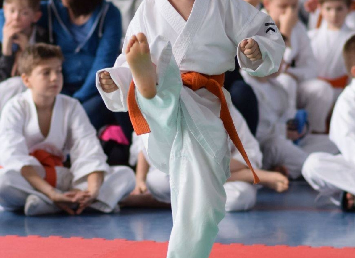 II Puchar Pomorza Kyokushin-kan Karate-do 22.04.2017r. w Rumi