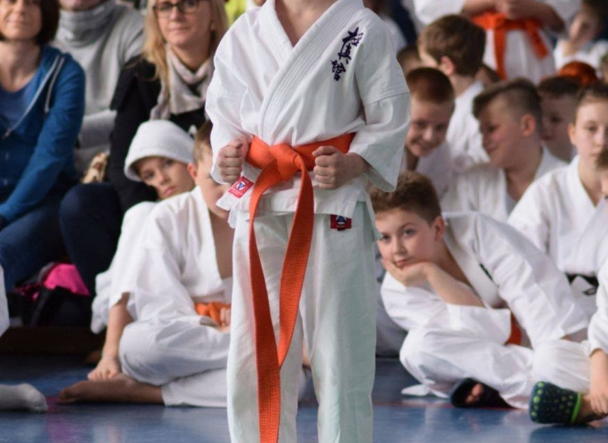 II Puchar Pomorza Kyokushin-kan Karate-do 22.04.2017r. w Rumi