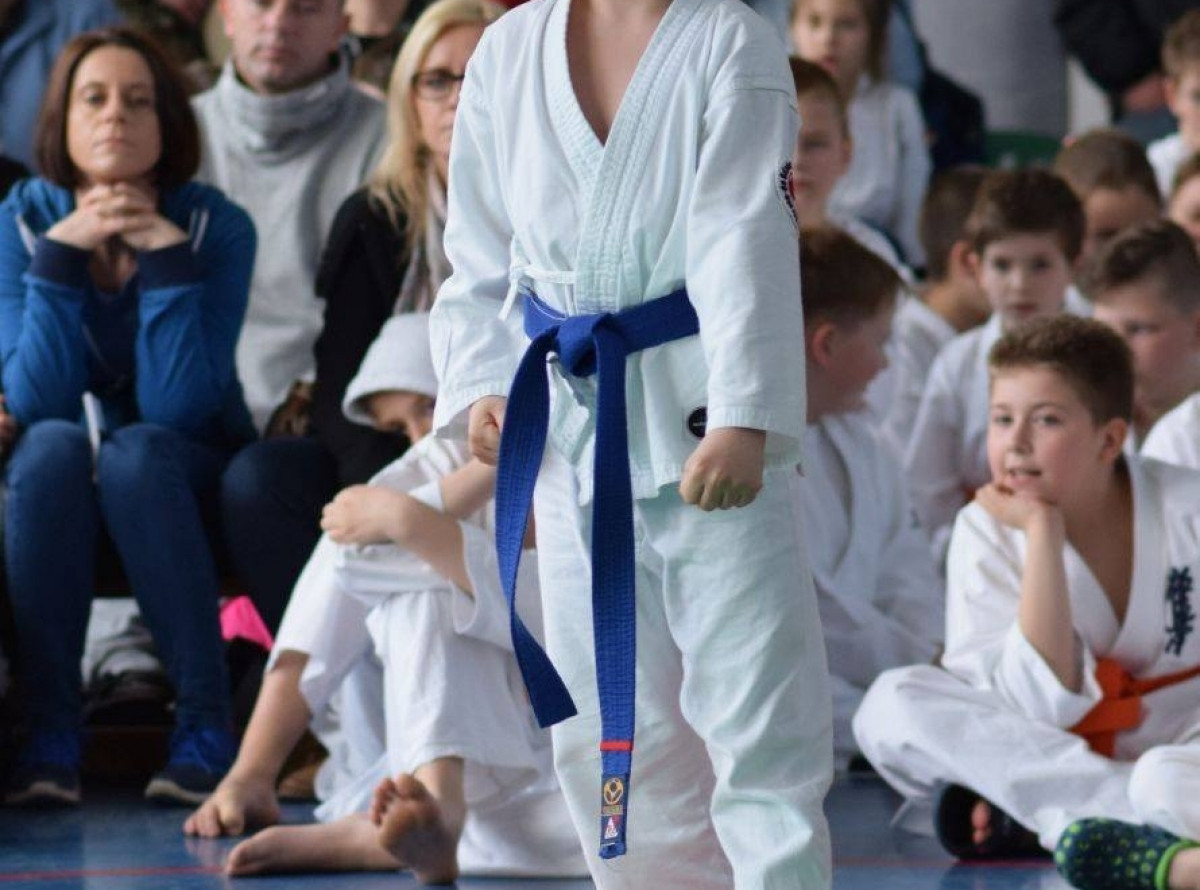 II Puchar Pomorza Kyokushin-kan Karate-do 22.04.2017r. w Rumi