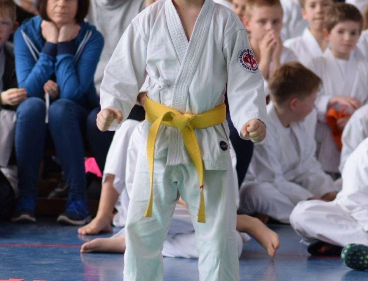 II Puchar Pomorza Kyokushin-kan Karate-do 22.04.2017r. w Rumi