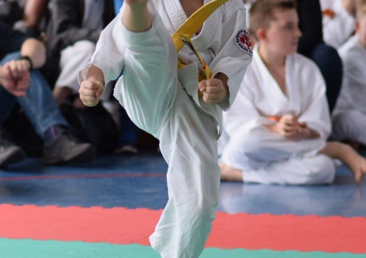 II Puchar Pomorza Kyokushin-kan Karate-do 22.04.2017r. w Rumi