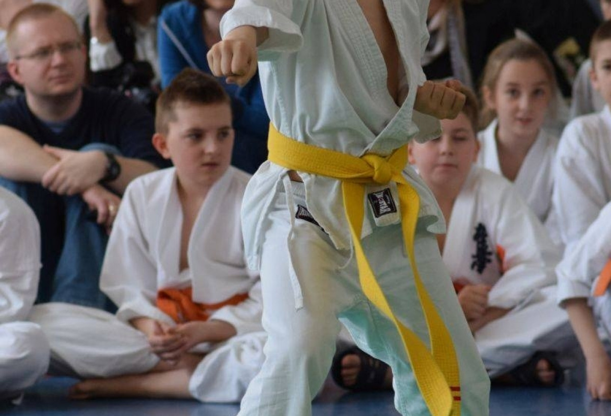 II Puchar Pomorza Kyokushin-kan Karate-do 22.04.2017r. w Rumi