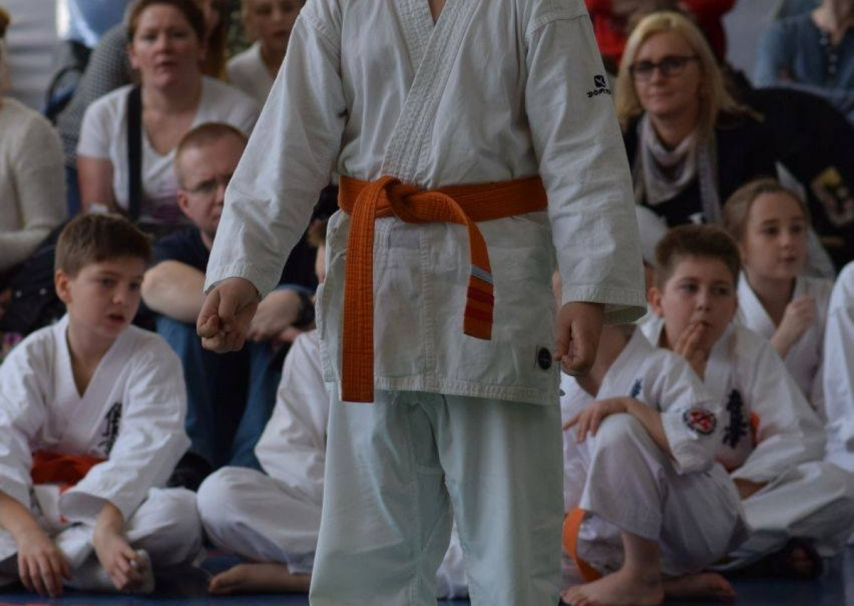 II Puchar Pomorza Kyokushin-kan Karate-do 22.04.2017r. w Rumi