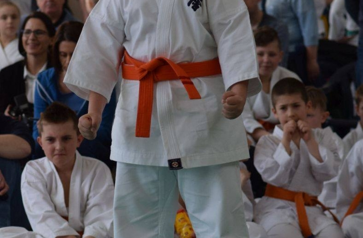 II Puchar Pomorza Kyokushin-kan Karate-do 22.04.2017r. w Rumi