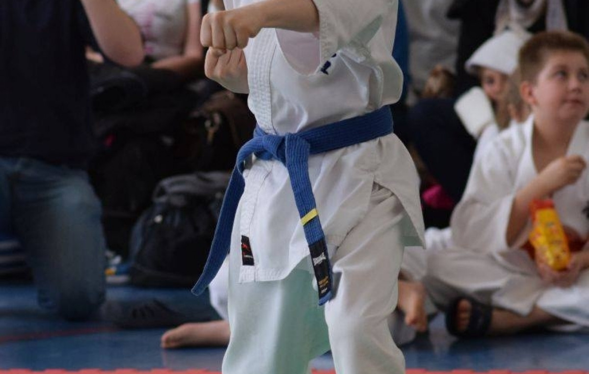 II Puchar Pomorza Kyokushin-kan Karate-do 22.04.2017r. w Rumi