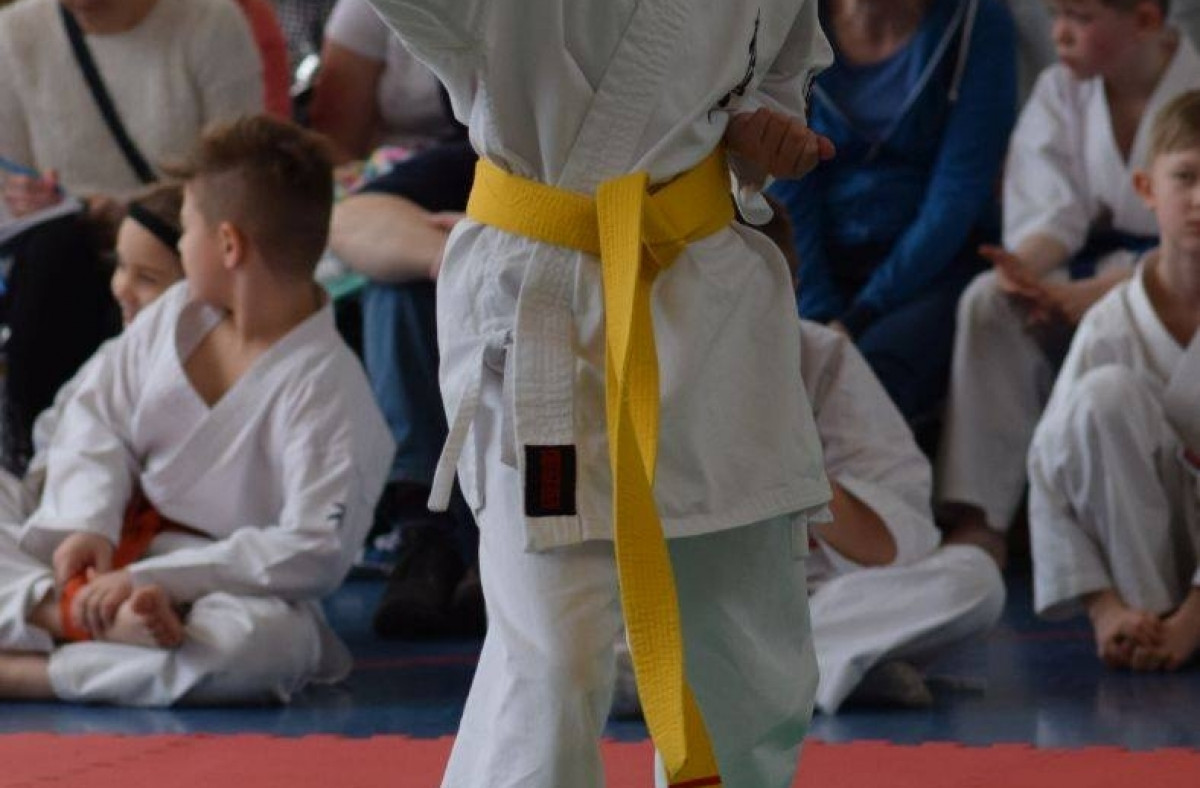 II Puchar Pomorza Kyokushin-kan Karate-do 22.04.2017r. w Rumi