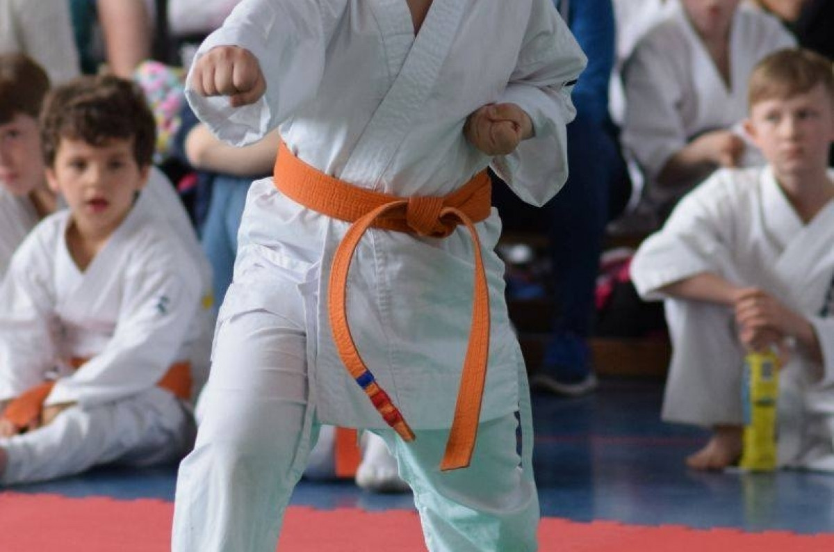 II Puchar Pomorza Kyokushin-kan Karate-do 22.04.2017r. w Rumi