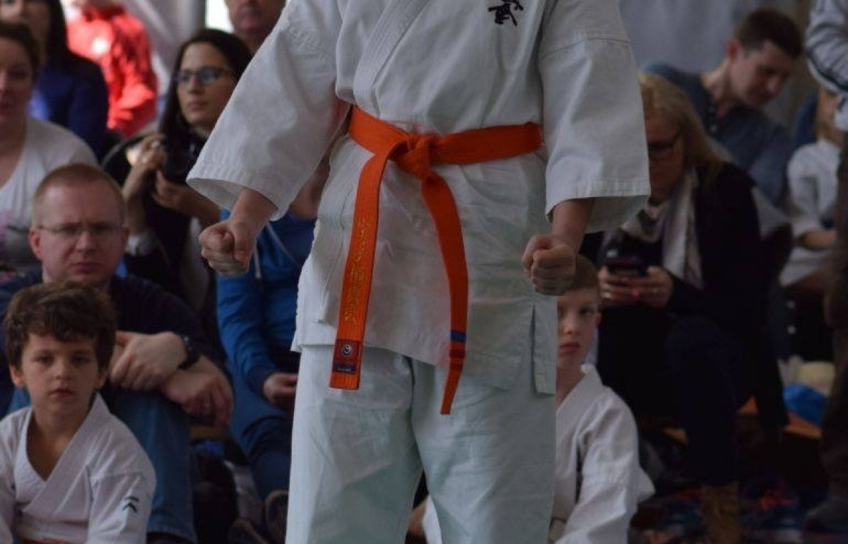 II Puchar Pomorza Kyokushin-kan Karate-do 22.04.2017r. w Rumi