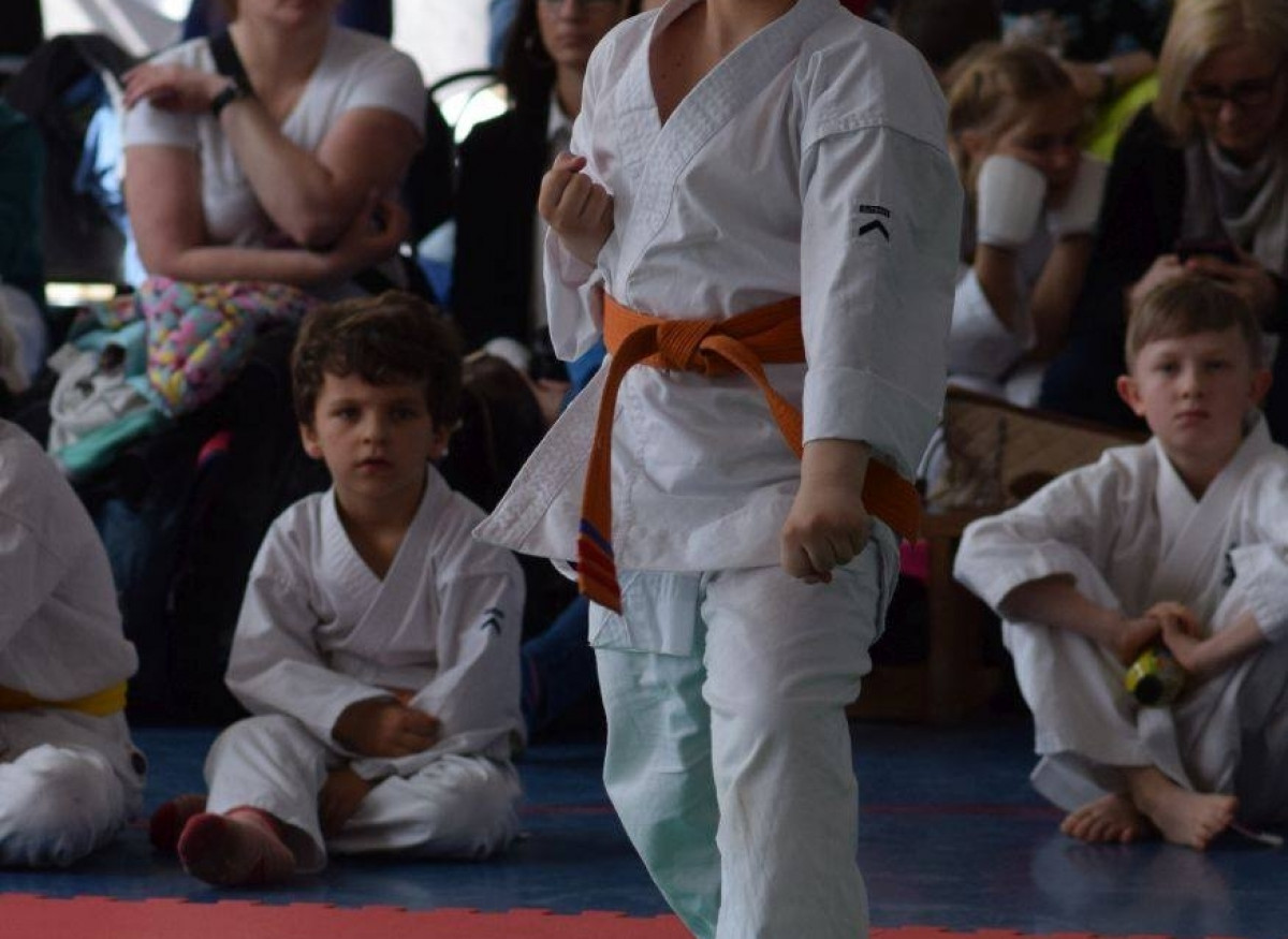 II Puchar Pomorza Kyokushin-kan Karate-do 22.04.2017r. w Rumi