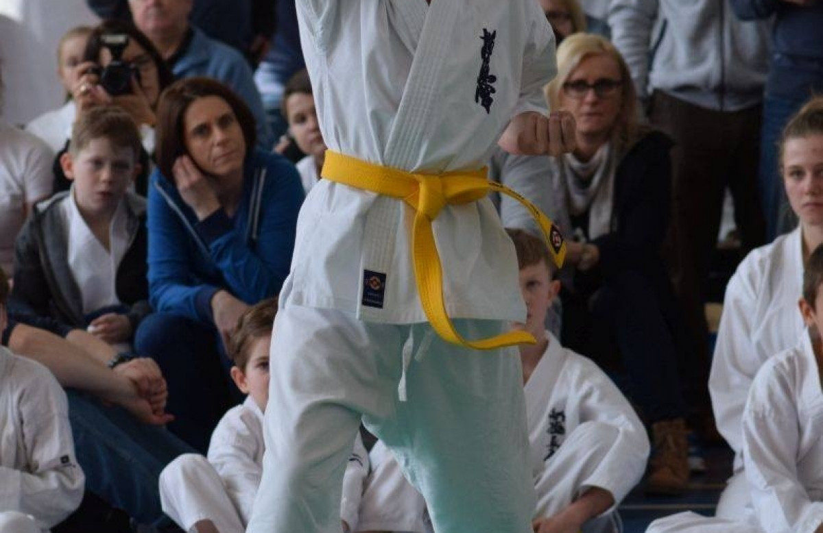 II Puchar Pomorza Kyokushin-kan Karate-do 22.04.2017r. w Rumi