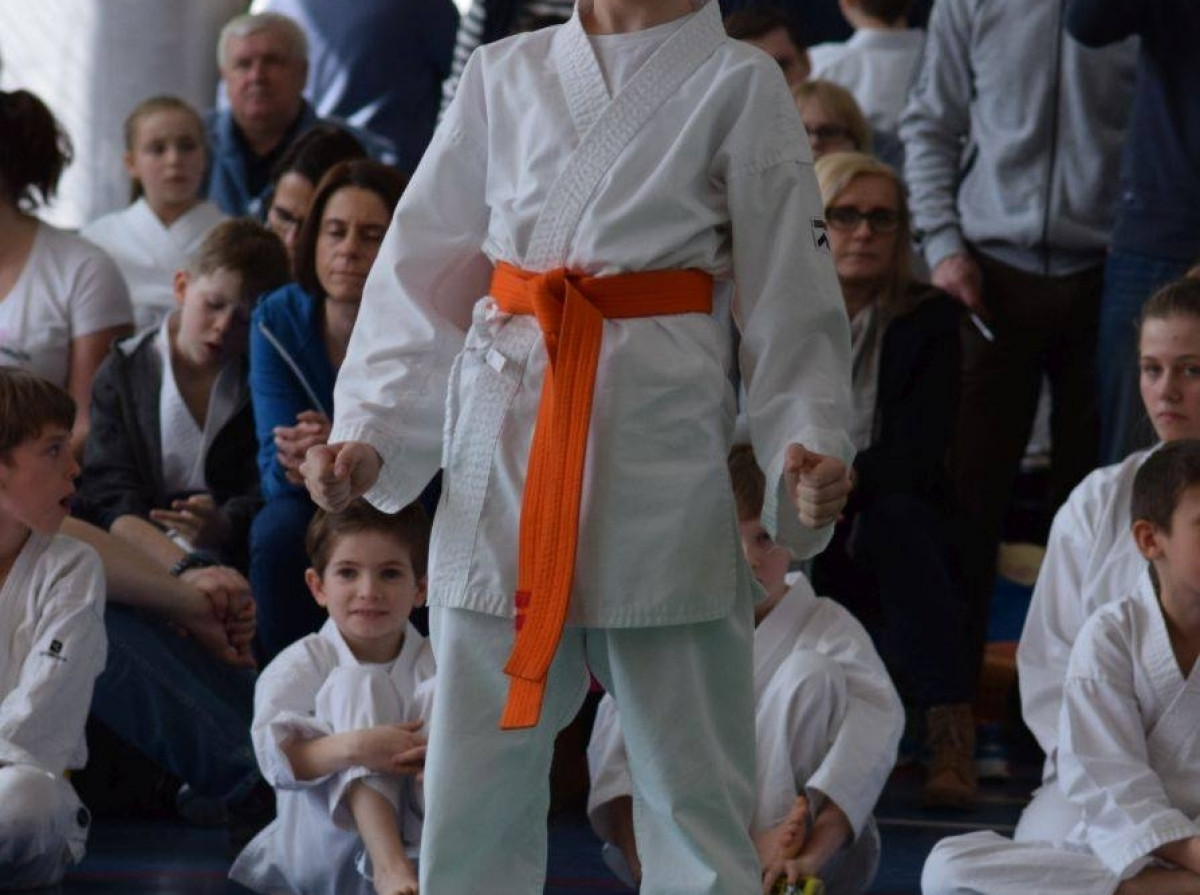 II Puchar Pomorza Kyokushin-kan Karate-do 22.04.2017r. w Rumi