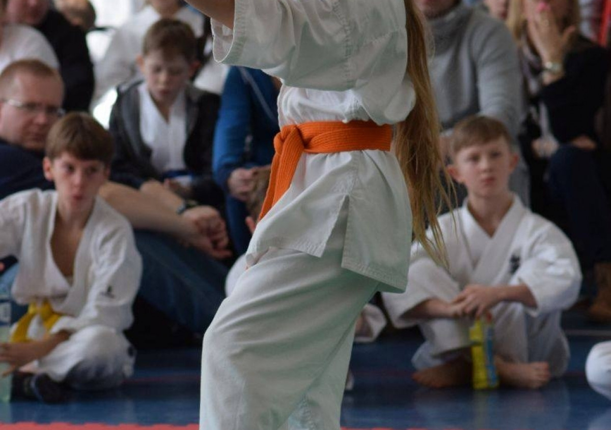 II Puchar Pomorza Kyokushin-kan Karate-do 22.04.2017r. w Rumi