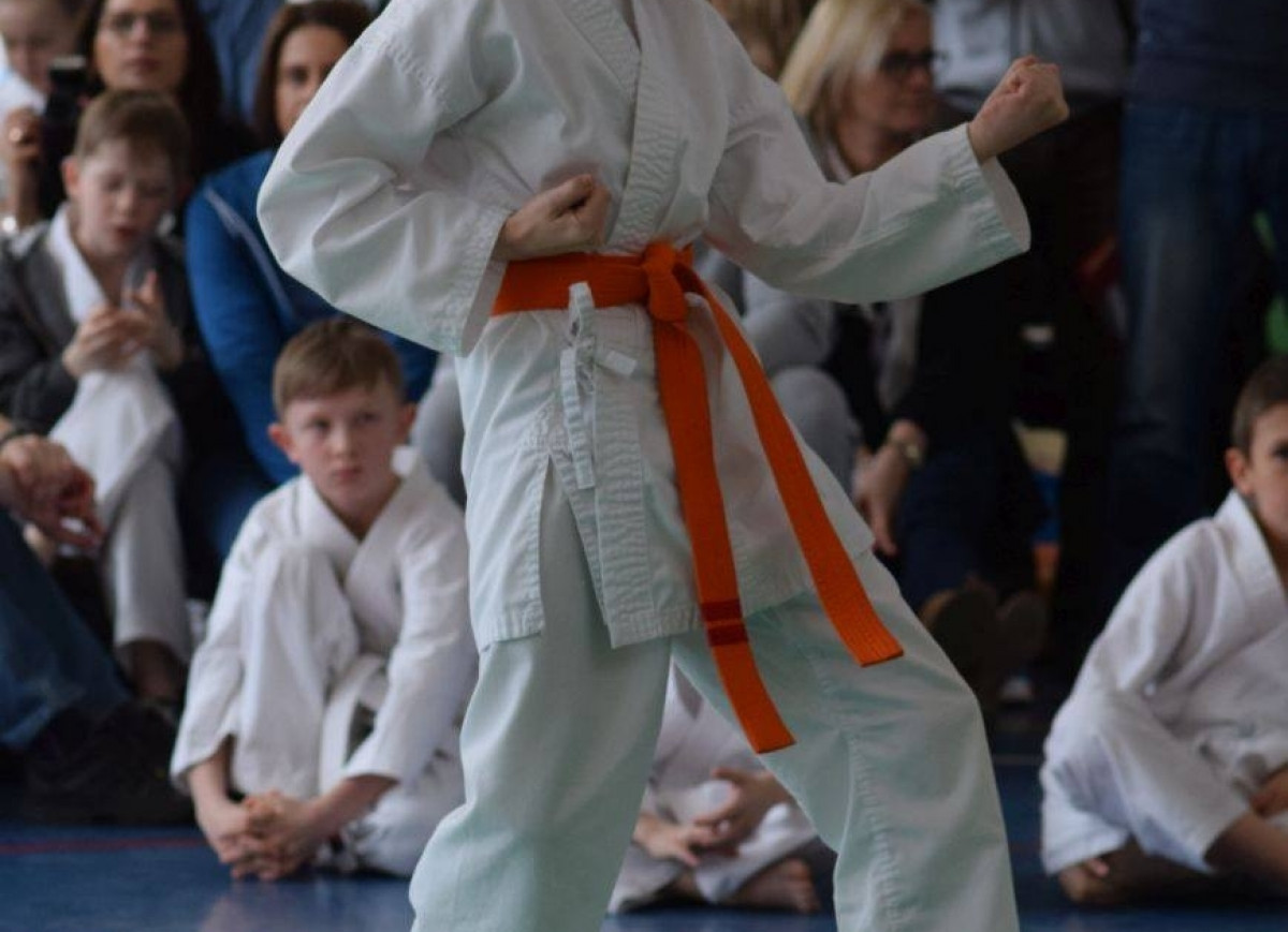 II Puchar Pomorza Kyokushin-kan Karate-do 22.04.2017r. w Rumi