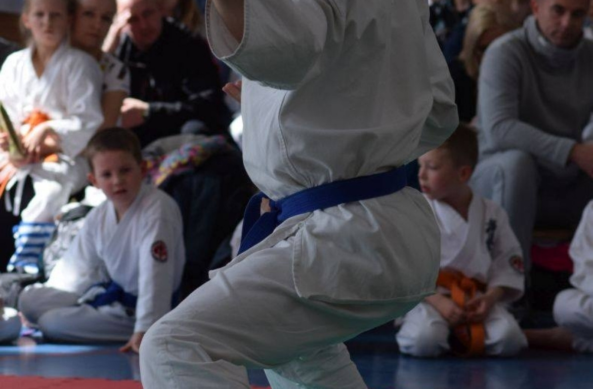 II Puchar Pomorza Kyokushin-kan Karate-do 22.04.2017r. w Rumi