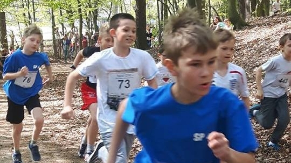 Puchar Gdyni Działki Leśne