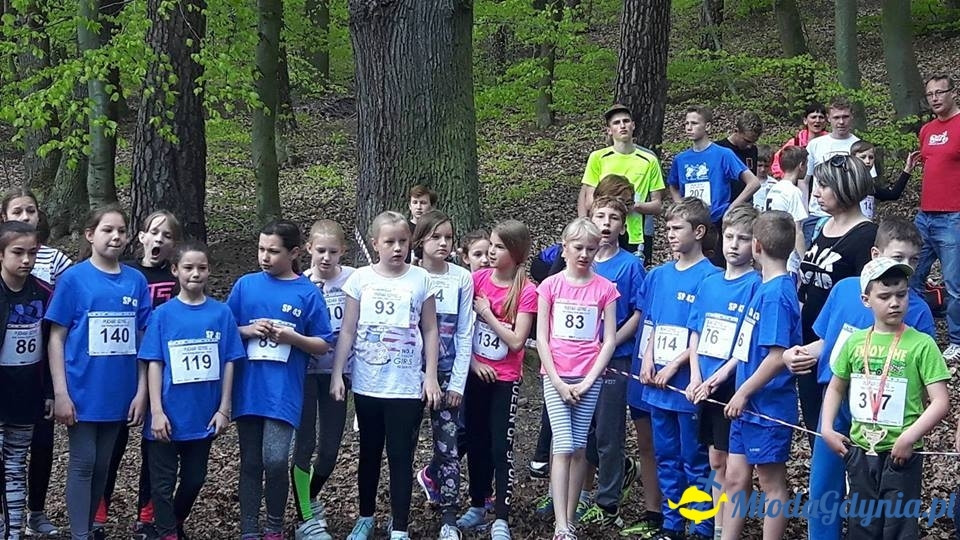 Puchar Gdyni Działki Leśne