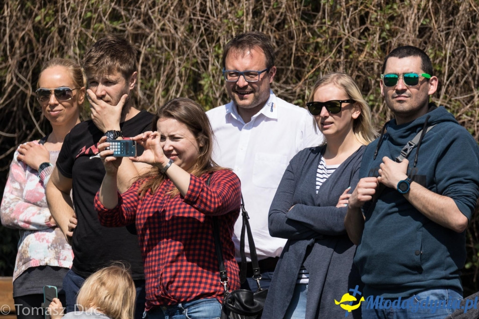 Twoja Liga Mistrzów 2017  - faza grupowa - 6-7.05.2017 (I)