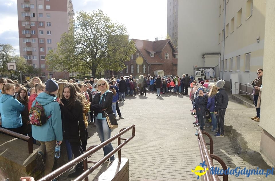 Dzień Ziemi 2017 w SP 10