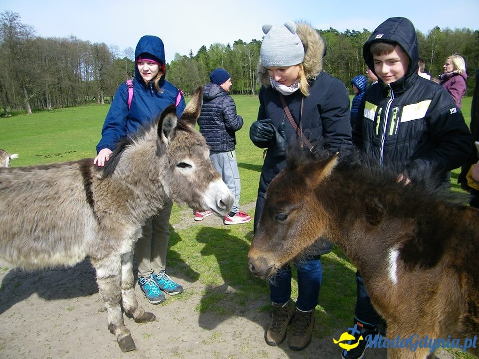 SP 10 -  wycieczka na Mazury