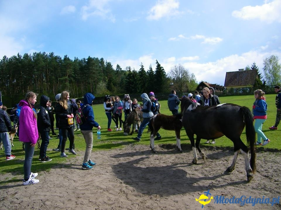 SP 10 -  wycieczka na Mazury