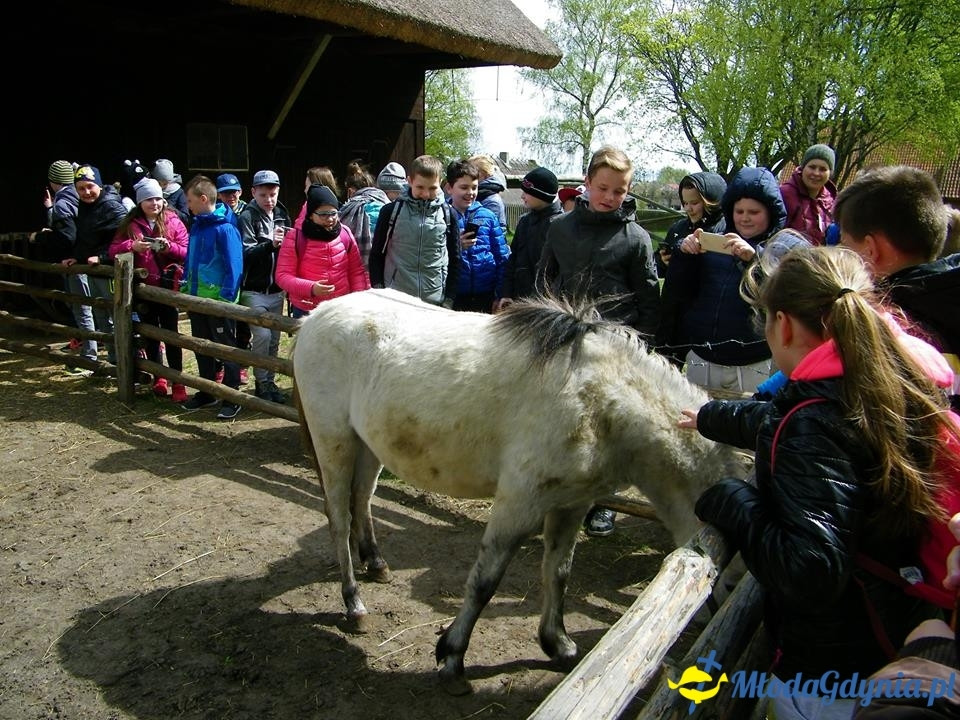 SP 10 -  wycieczka na Mazury