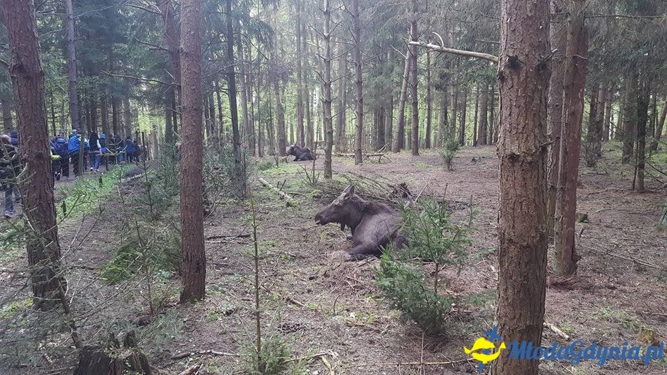 SP 10 -  wycieczka na Mazury