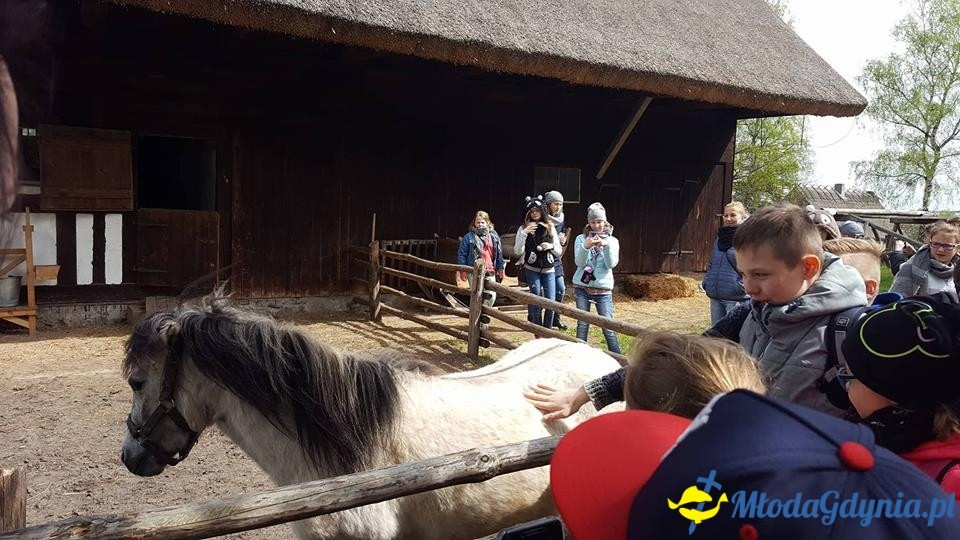 SP 10 -  wycieczka na Mazury