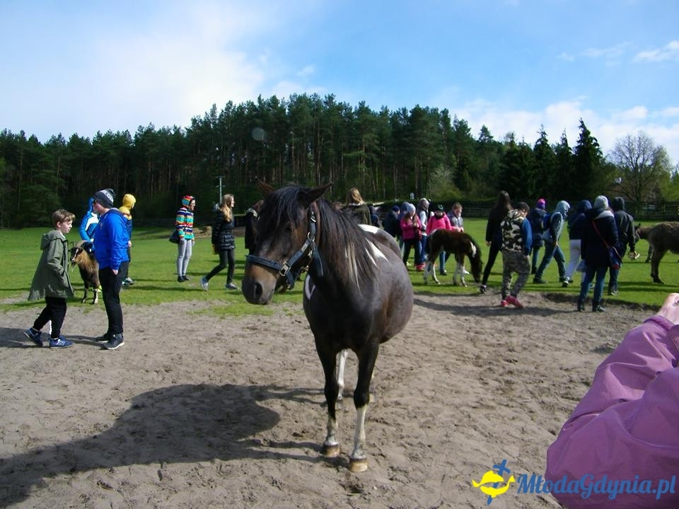 SP 10 -  wycieczka na Mazury