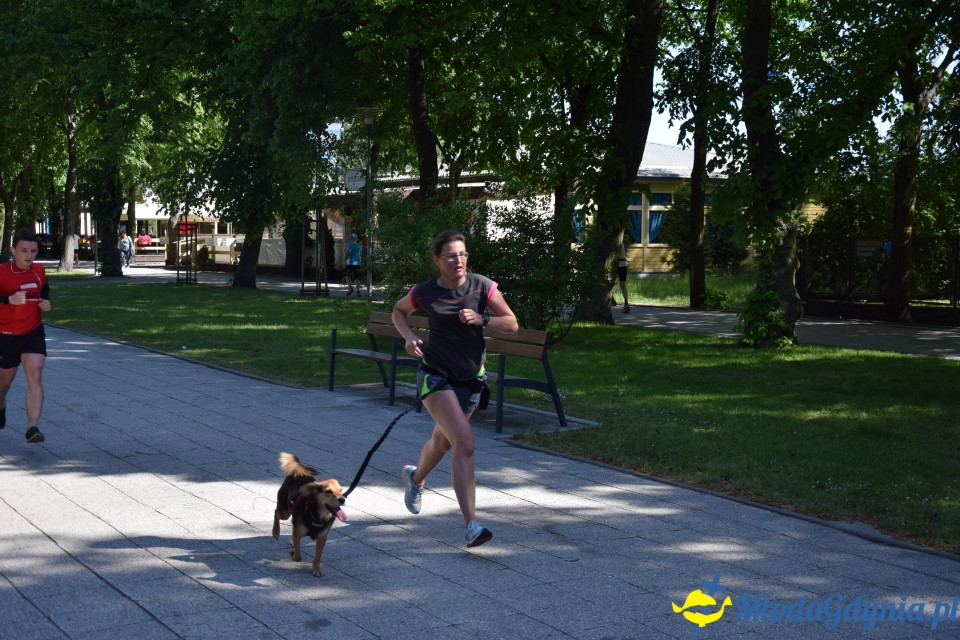 Parkrun Gdynia - Bieg 5 km.